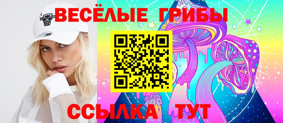 Острогожск  Псилоцибиновые грибы Psilocybe  купить закладку  Вход с VPN 